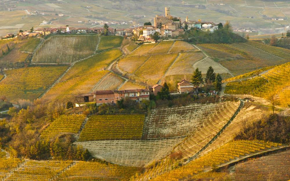 Hotel Langhe & Monferrato Costigliole d'Asti Ngoại thất bức ảnh
